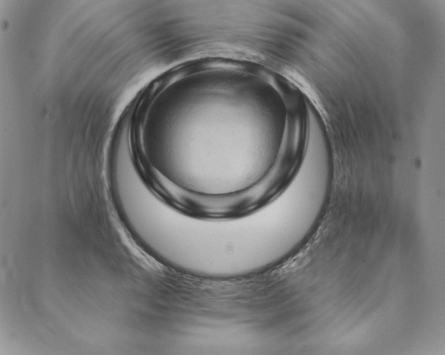 X0000090491128200707131320