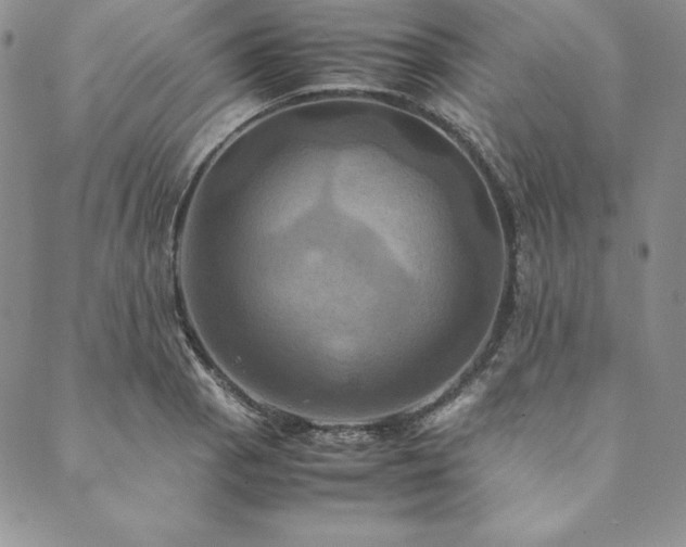 X0000090491129200707131320