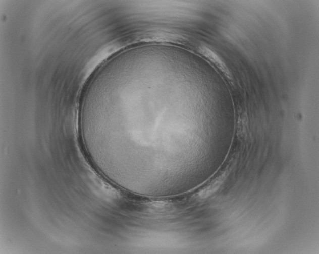 X0000090491130200707131320