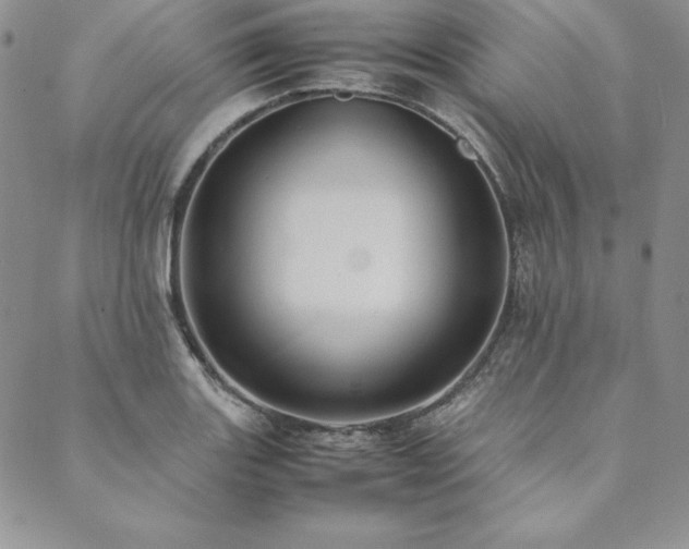 X0000090491131200707131321
