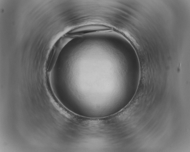 X0000090491134200707131321