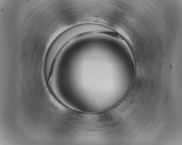 X0000090491136200707131321