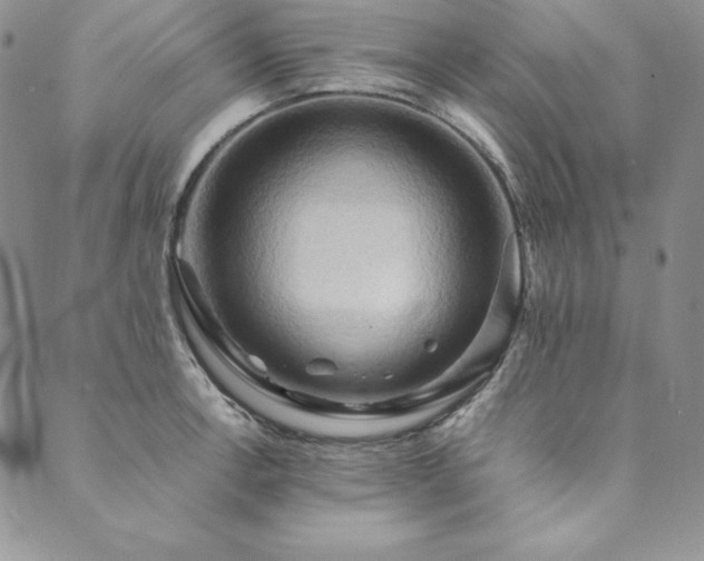 X0000090491138200707131321