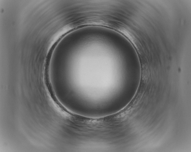 X0000090491139200707131321
