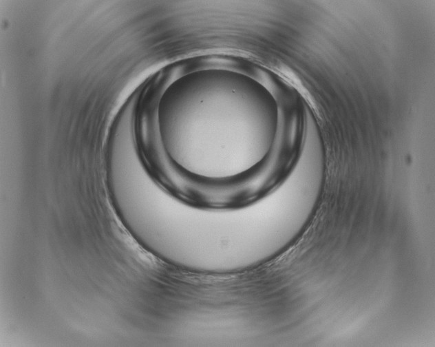X0000090491140200707131321