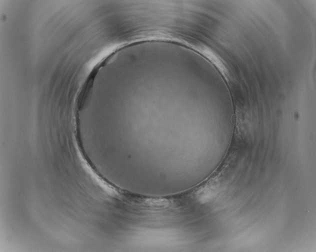 X0000090491142200707131321