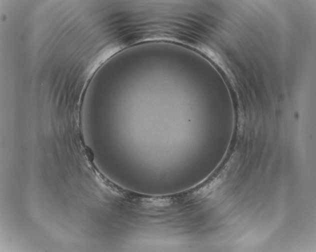 X0000090491145200707131321