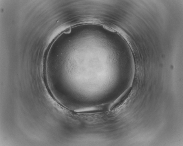 X0000090491147200707131321