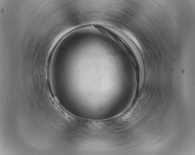 X0000090491148200707131321