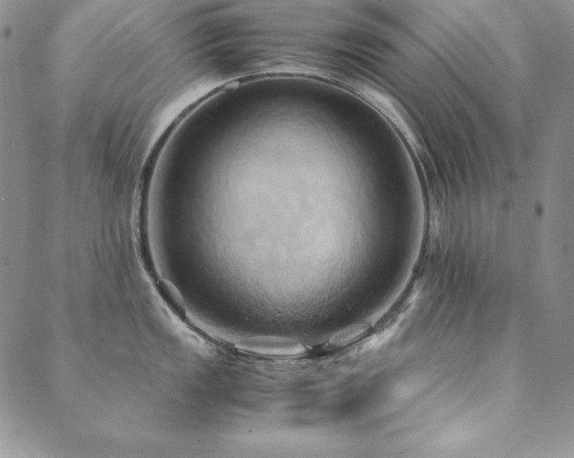 X0000090491149200707131321