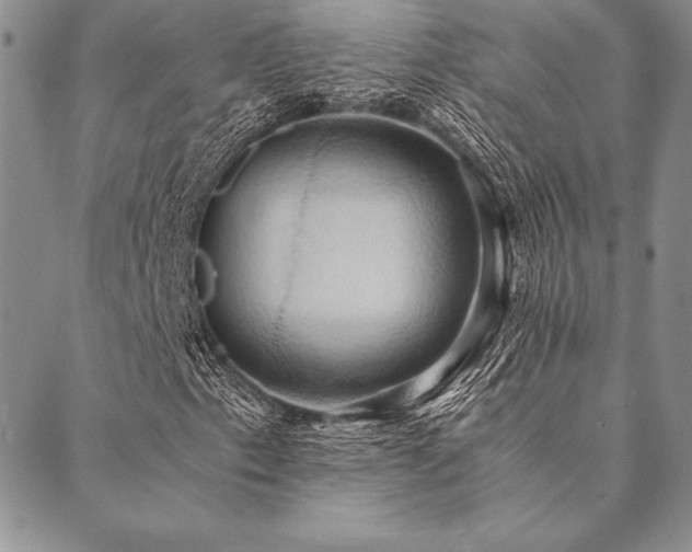 X0000090491153200707131320