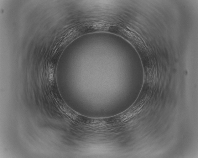 X0000090491154200707131320