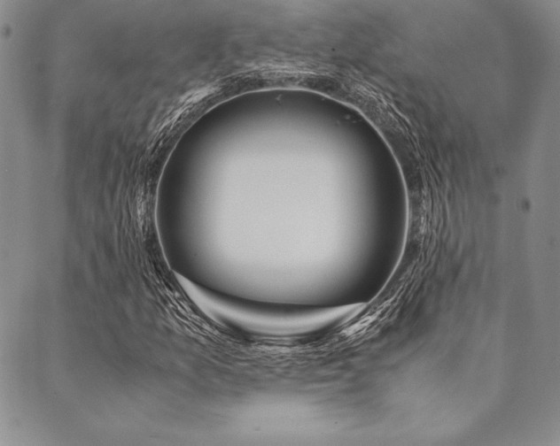X0000090491157200707131320