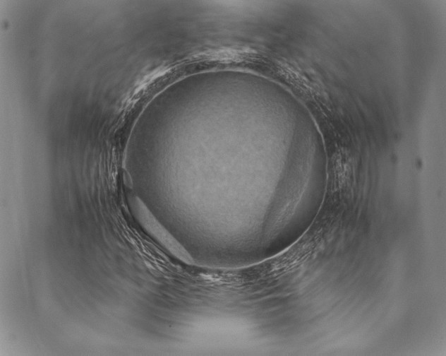 X0000090491158200707131320