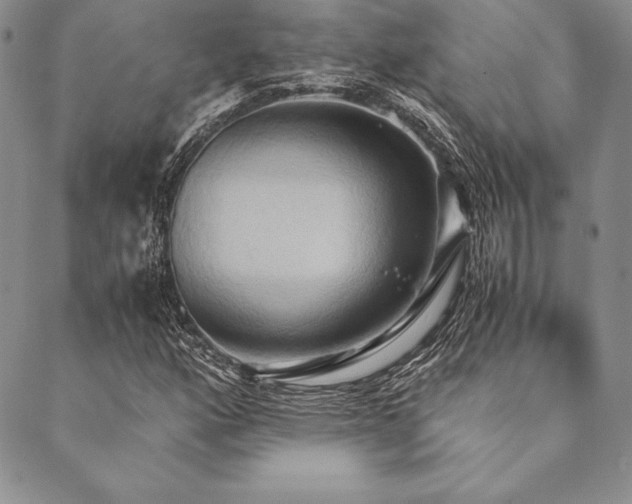 X0000090491160200707131320