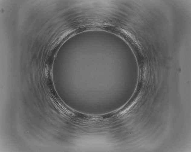 X0000090491161200707131320