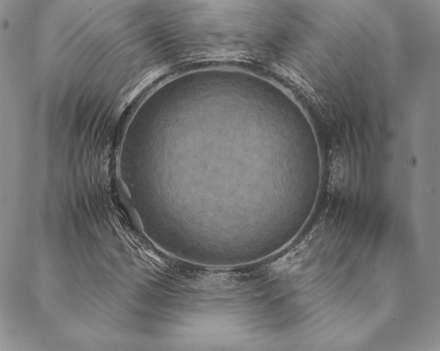 X0000090491162200707131320
