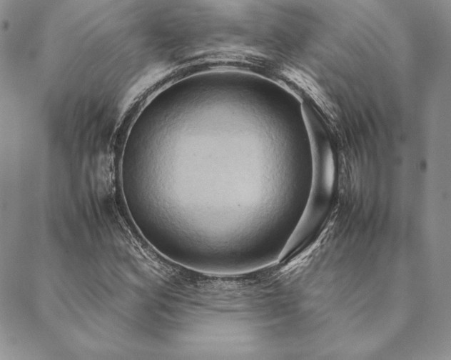 X0000090491164200707131320