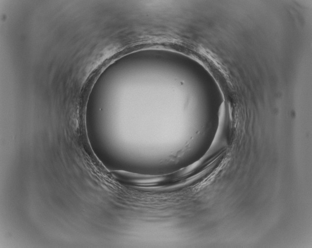 X0000090491165200707131320