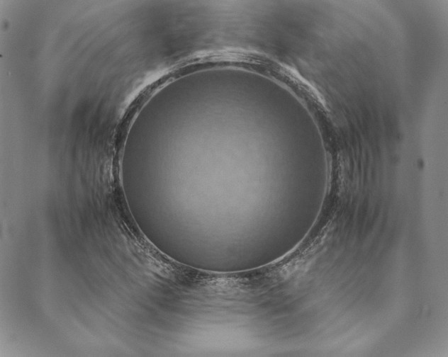 X0000090491166200707131320