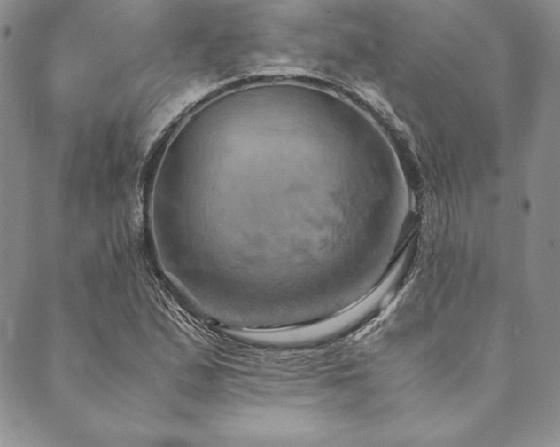 X0000090491167200707131320