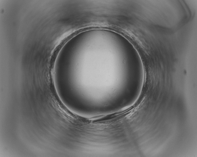 X0000090491168200707131320
