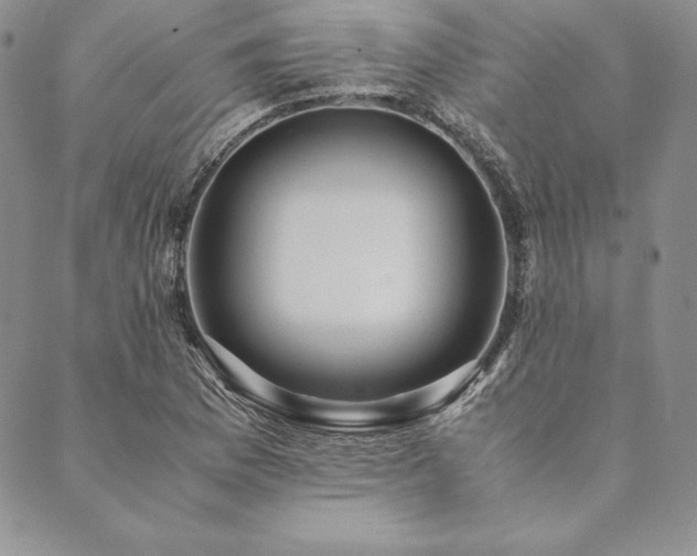 X0000090491169200707131320