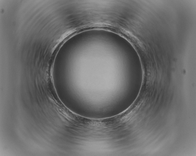 X0000090491170200707131320