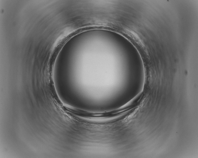 X0000090491172200707131320
