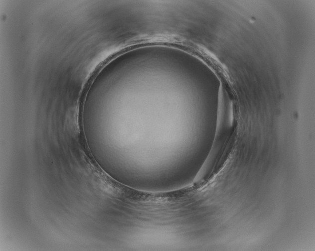 X0000090491174200707131320