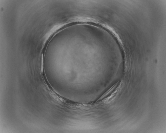 X0000090491175200707131320