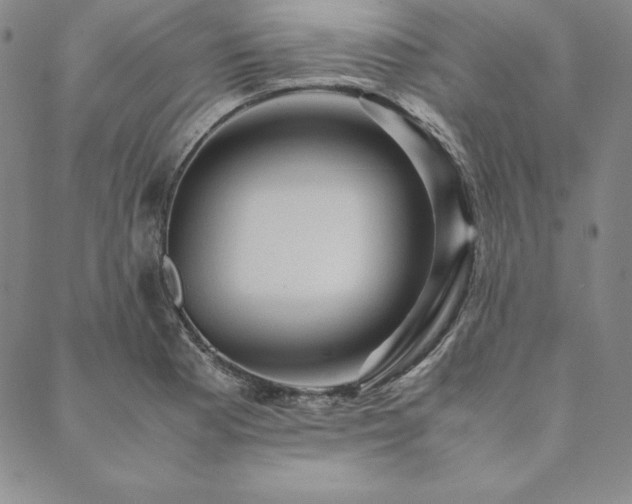 X0000090491177200707131320