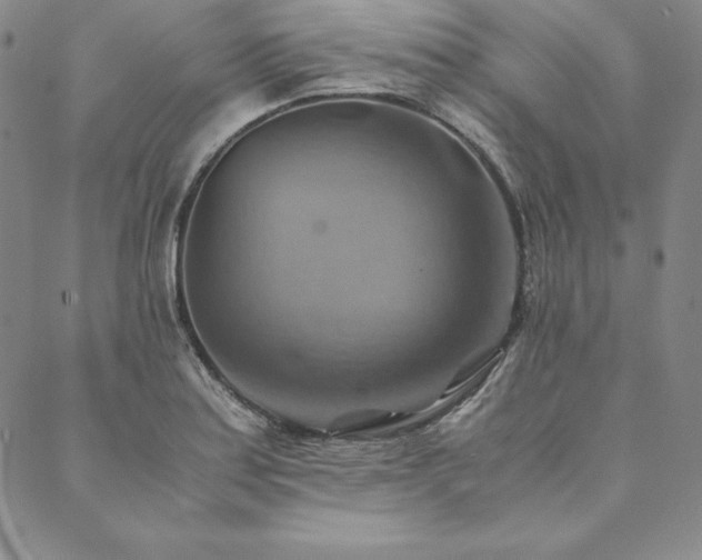 X0000090491179200707131320