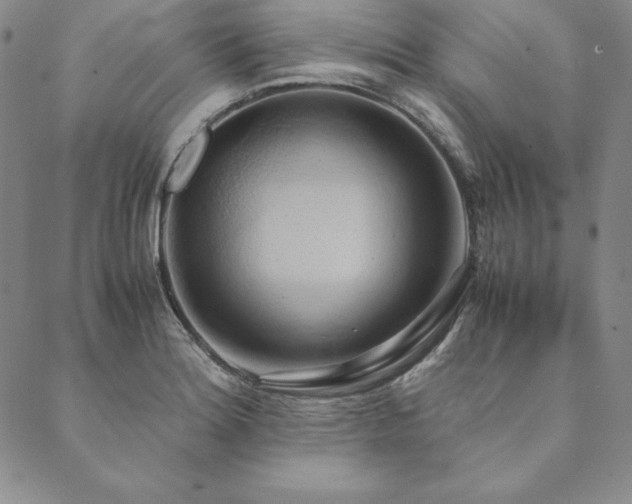 X0000090491180200707131320