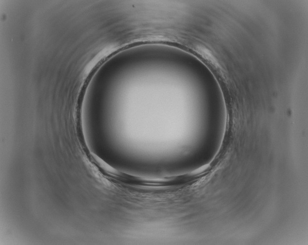 X0000090491181200707131320