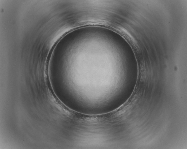X0000090491182200707131320