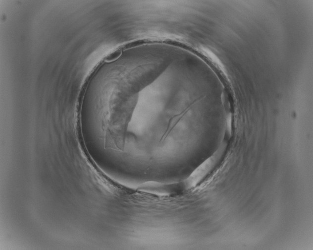 X0000090491183200707131320