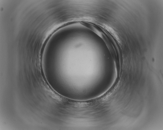 X0000090491184200707131320