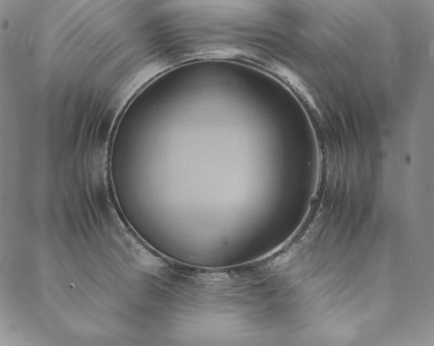 X0000090491186200707131320