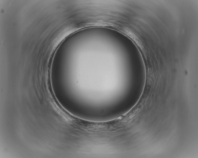 X0000090491187200707131320