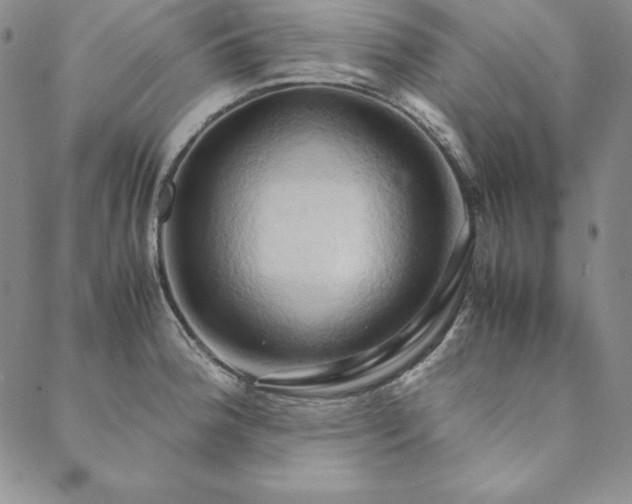 X0000090491188200707131320