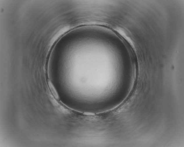 X0000090491189200707131319