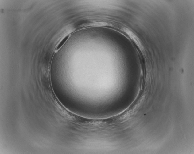 X0000090491193200707131319