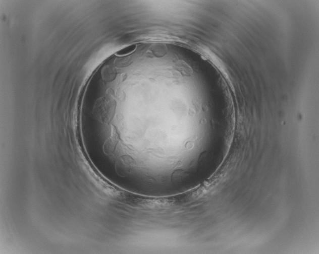 X0000090491195200707131319
