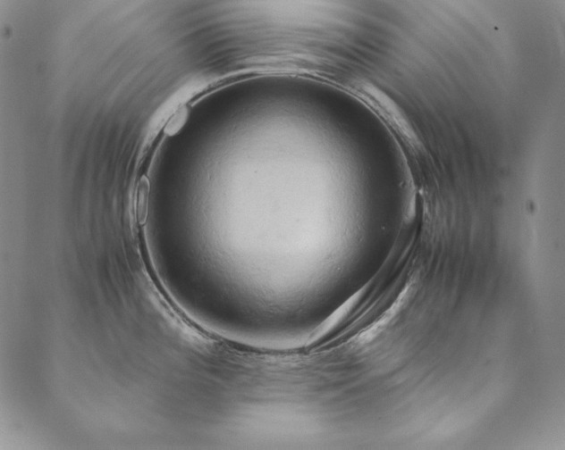 X0000090491196200707131319