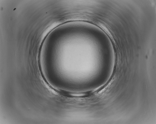 X0000090491197200707131319
