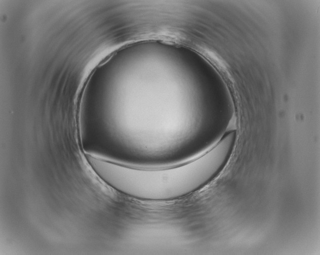 X0000090491200200707131319