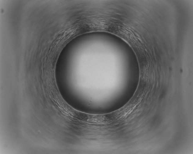 X0000090491201200707131319