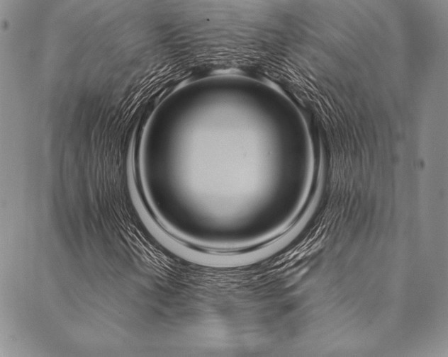 X0000090491202200707131319