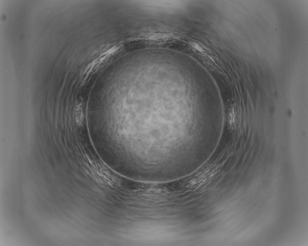 X0000090491204200707131319